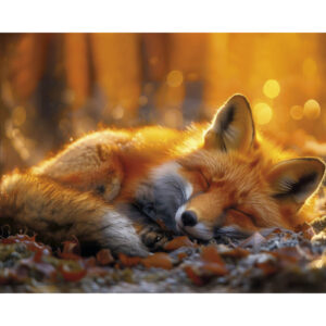 Dreaming Foxling
