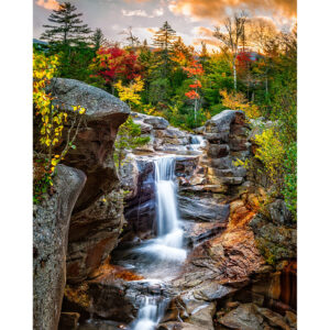 Forest Waterfall