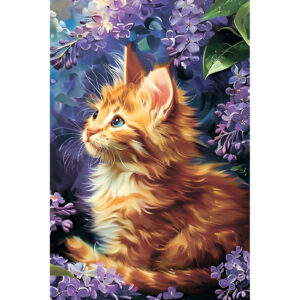 Ginger Kitten