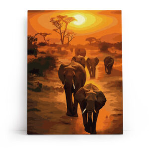 Sunset Safari