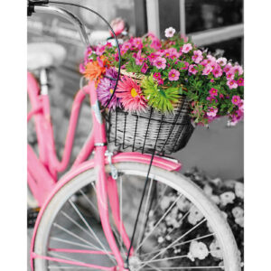 Pink bicycle