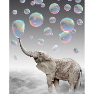 Elephant in a Dreamscape