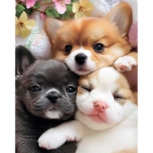 Fluffy Little Faces